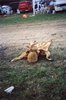 hc_01_45.jpg